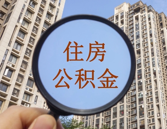 瑞安退休后查不到公积金明细了吗（退休后公积金查询不到原因）